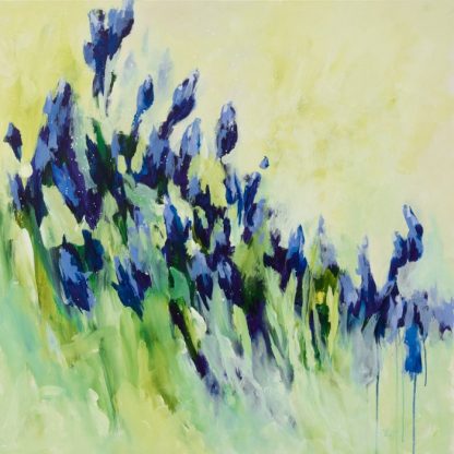 Iris de mes amours